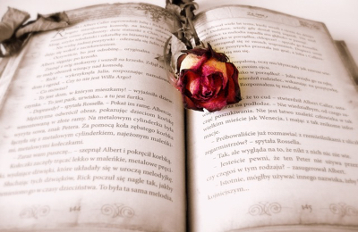 Story of Stories